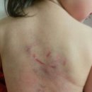 (주)멍이사랑 이미지