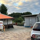 시고르스테이 이미지