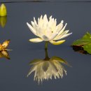 까르마(나) 이미지