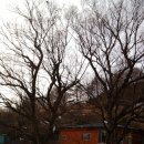 임실성미산성 이미지