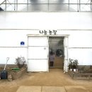 일도농장 | 부천 나눔농장 체험 총 정리 | 서울 근교 아이랑 가볼 만한 곳 (입장료·운영시간)