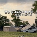 강나루오토캠핑장 | 5월 경남 가볼 만한 곳. 함안 청보리 작약 축제 와중에 즐기는 캠핑 : 강나루오토캠핑장