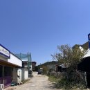 이유있는 조개찜 옆 | 제부도 또간집 애견 동반 조개맛집 해품가 주말 웨이팅 후기