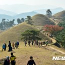 대가야센터-3 이미지