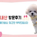 군대생막창 이미지