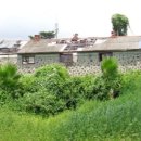 강정동-49 이미지