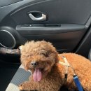 지안동물의료센터 이미지