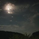 대성태권도 이미지