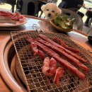 미소컴퍼니 | [용인/ 처인구] 용인야장맛집. 수원근교야장. 용인 애견동반식당 바른고기 찐후기