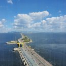 반월태양광발전소 이미지