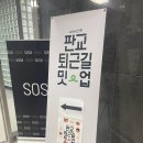 개발바닥 | 판교 퇴근길 밋업 - 가을 특집 with 개발바닥 후기