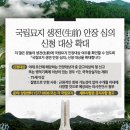 안장의사