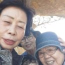 신안자연휴양림 티스토리