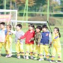 대한스포츠사회적협동조합 이미지