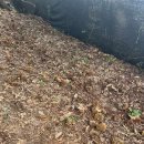 연화농원 이미지