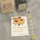 글입다 울어봐, 빌어도 좋고 콜라보 잉크 - 레일라 르웰린 내돈내산 후기