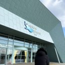 연우정보통신 | 제주도 아기랑 실내 여행지 추천｜8개월 아기도 집중한 아쿠아플라넷 공연·수족관 솔직 후기