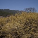 수유마을 이미지