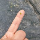 홍이농장 이미지