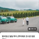 뉴힐링하우스 | 베트남 달랏 일일가이드투어 랑비앙마운틴 다딴라폭포 크레이지하우스 등