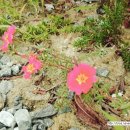 장태산 몽블랑 이미지