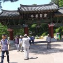 영천약수 Daum카페