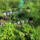 쌍송약국 이미지