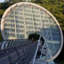 우면산 (대성사 옆) 이미지