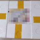 텐카이치멘 이미지