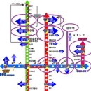 유승한내들퍼스트파크 이미지