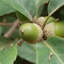 재미드림 이미지