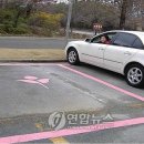 핑크라인 연합뉴스