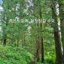 창암목장 이미지