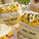 그레잇멍데잇 이미지