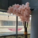 다쉼하우스 이미지