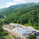 청도프로방스 불빛축제 카라반 펜션 | 경상도 캠핑장 추천 - 청도 프로방스 불빛축제 카라반 펜션