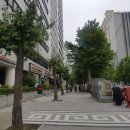 연세거평의원 이미지