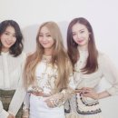 다솜컴퍼니