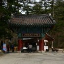 까치섬횟집 | 전북변산 내소사,곰소항과 곰소염전(2021.02,11)