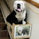 걸치기농장 이미지