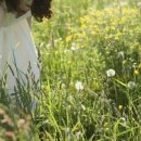 여름동화 이미지