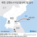 北, 이번에는 강원도 통천에서 발사체 2회 발사--"文의 경축사는 삶은 소대가리가 웃을 일" 조소 이미지