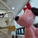 치카푸카소아치과의원 | 아이랑 다녀온 창원 치카푸카 소아치과｜진료후기｜귀여운 의자와 편안한 분위기🦷