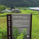 의령 상정리 지석묘군 이미지