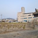 중마애견 이미지