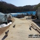 전병호농장 이미지