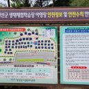 정선군생태체험학습장캠핑장 이미지