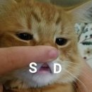 기분전환