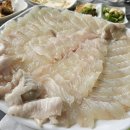 정남진 전망대 횟집 | 장흥 정남진 맛집 전망대횟집 자연산 광어와 풍성한 스끼다시에 반한 내돈내산 후기