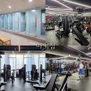 마이짐 | 송현동헬스장 / 대구헬스장 / 마이짐 헬스장+PT 후기
